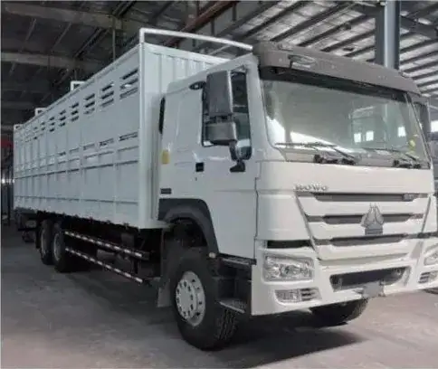 SINOTRUK HOWO 6×4 Freight Truck